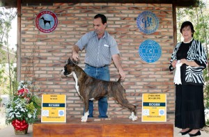 Foto podium melhor da raca e 2 de grupo KCGBH In coelum